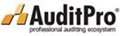 AuditPro Helpdesk