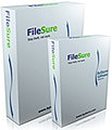 ByStorm FileSure (Audit) Windows
