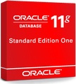 Oracle Database 11g Standard Edition One