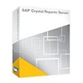 SAP Crystal Reports Server 2008