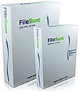ByStorm FileSure Defend Windows